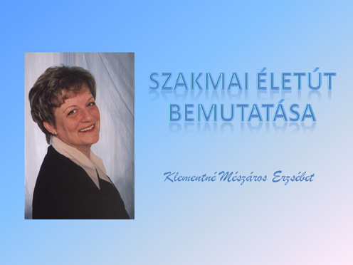 Klementné M. E. szakmai életútja