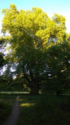 Csörötnek-túra, 2021. szeptember 10.