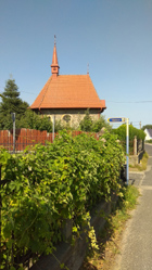 Badacsony-túra, 2021. július 12.