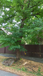 Mezőberény-túra Budapestről, 2021. július 20.