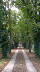 Mezőberény-túra Budapestről, 2021. július 20.